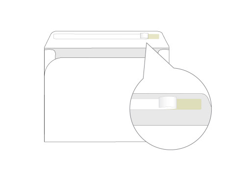 Custom Booklet 9x12 Self Seal Envelopes - EN1011