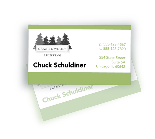 Printed Business Cards - BC1002